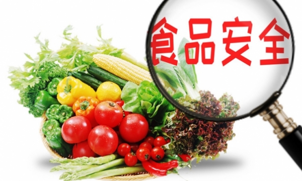 让思政引领成为食安教育新路径