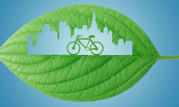 农食系统着力绿色低碳可持续发展任重道远