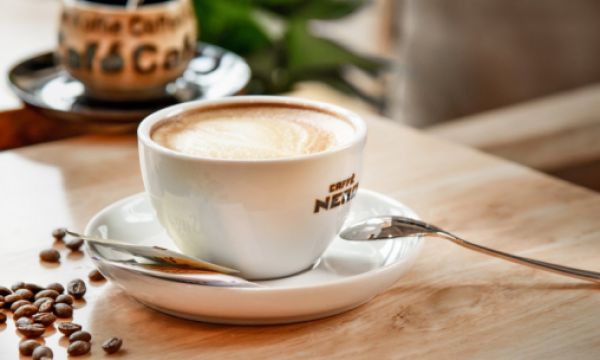 新业态兴起 新场景体验 休闲火了“宠物+咖啡”经营模式